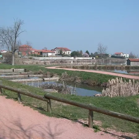 Ferienhaus Avec Etang Prive, Cheminee, Draps Inclus, Jardin Clos A - Fr-1-496-158 Montbrison
