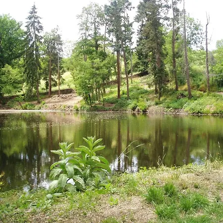 Avec Etang Prive, Cheminee, Draps Inclus, Jardin Clos A - Fr-1-496-158 Ferienhaus Montbrison